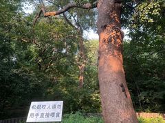 -北陵公园
