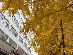 -中国工商银行(杭州湖墅支行)