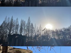 -音乐台