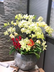 -Air Plus 美发沙龙