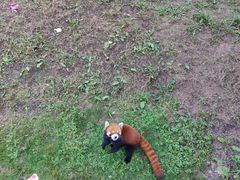 -沈阳森林动物园