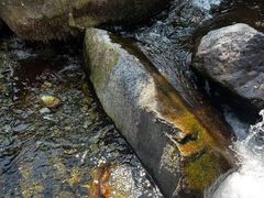 -苍山感通索道