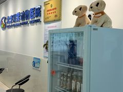 -北京观赏动物医院·24小时大型综合·猫专科·异宠专科