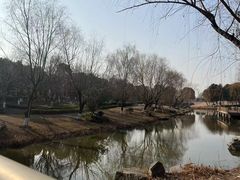 -九科绿洲
