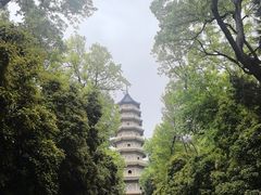 -灵谷景区