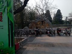 -紫竹院公园冰场