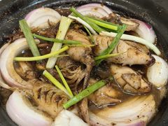 -楠波炭炉鸡煲馆(桥北店)