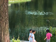-四海公园(南山区)
