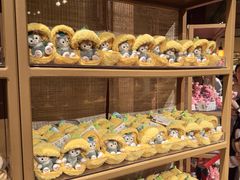 -迪士尼火鸡腿