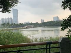 -南宁南湖公园