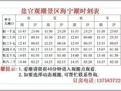-观潮胜地公园