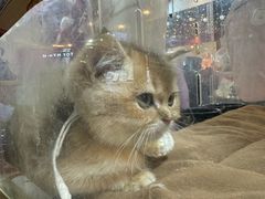 -汇德隆银隆