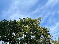 -浙江西子宾馆·瑶园咖啡厅