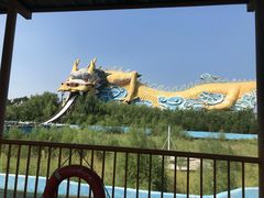 -太阳部落