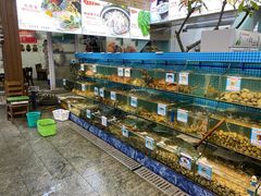 水产区-范饭椰林川湘味海鲜·椰子鸡(三亚湾椰梦长廊店)