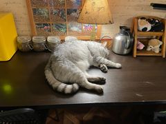 -隅cafe(傅厚岗店)