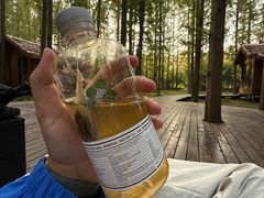 -黄海国家森林公园