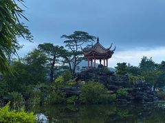 -顺峰山公园