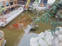 -膳和缘炒鸡店(南门路店)