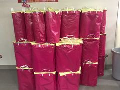 -珍妮曲奇聪明小熊(尖沙咀店)