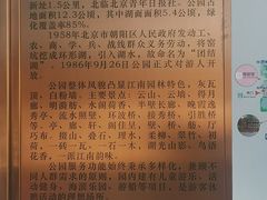 -团结湖公园