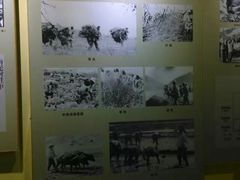 -南泥湾风景区