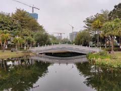 -映月湖公园
