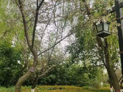 -西安汉城湖景区