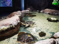 -南昌海洋公园