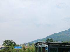 -蘇河湾·新鲁菜·泰山宴(泰山店)