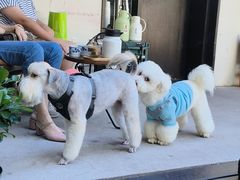 -FAELING PETS美天灵宠物(富力广场店)
