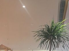 -桂满陇·蟹黄小笼汤包(巴黎春天浦建店)