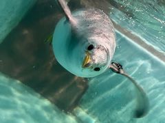 -大连圣亚海洋世界