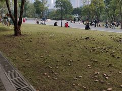 -重庆彩云湖湿地公园