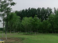 -东郊湿地公园