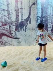 -恐龙探索乐园(磁器口店)