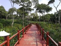 -东寨港红树林旅游区