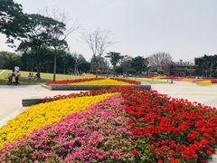 -二沙岛艺术公园