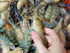 -马王堆海鲜水产市场