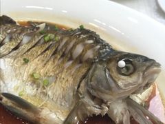 清蒸武昌鱼-武汉大学-桂园餐厅