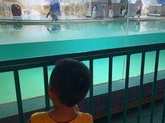 -北戴河圣蓝海洋公园