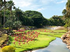 -东芭乐园