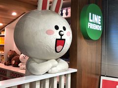 -line friends(明洞旗舰店)