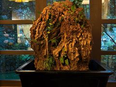 -天目湖御水温泉·度假酒店