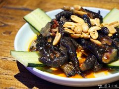 -猫头婴小酒馆FUN OWL(1912店)