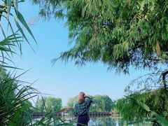 -长兴太湖图影湿地文化园