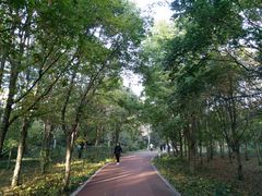 -长春市南湖公园