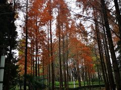 -苏州河梦清园环保主题公园