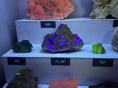 -湖南省地质博物馆