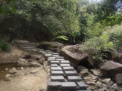 -广州白江湖森林公园